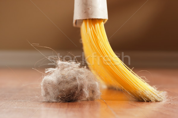 Bezem omhoog reus bal stof huis Stockfoto © soupstock