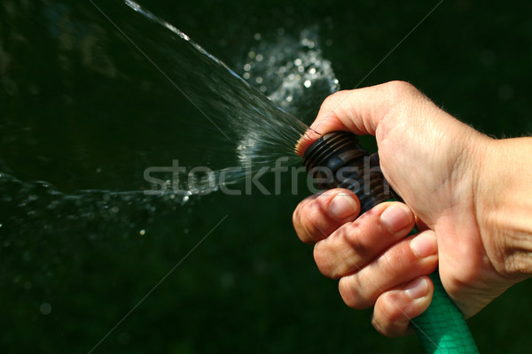 spraying water with the hose Stock photo © soupstock