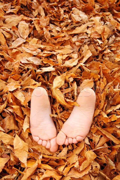 Láb eltemetett ősz levelek kettő gyerekek Stock fotó © soupstock