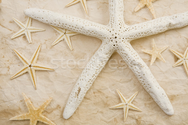 Foto d'archivio: Starfish · up · vecchia · carta · natura
