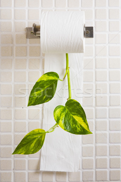 Recycleren recycling toiletpapier home groene badkamer Stockfoto © spanishalex