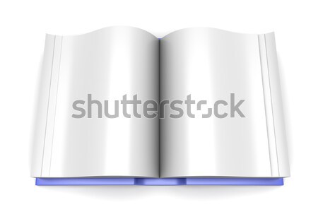 Open Book Stock photo © Spectral