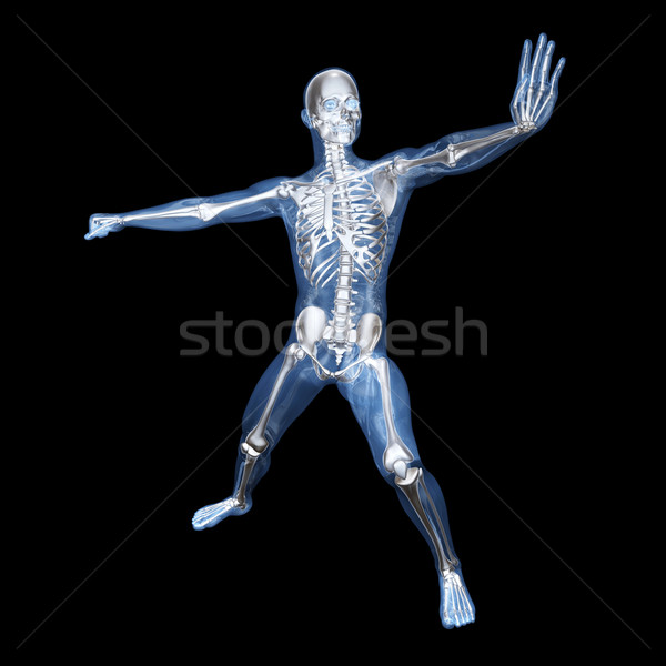 Anatomy -  Martial Arts Stock photo © Spectral
