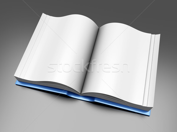 Open Book Stock photo © Spectral