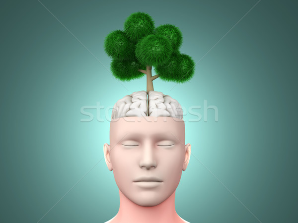 Denken grünen 3D gerendert Illustration Baum Stock foto © Spectral
