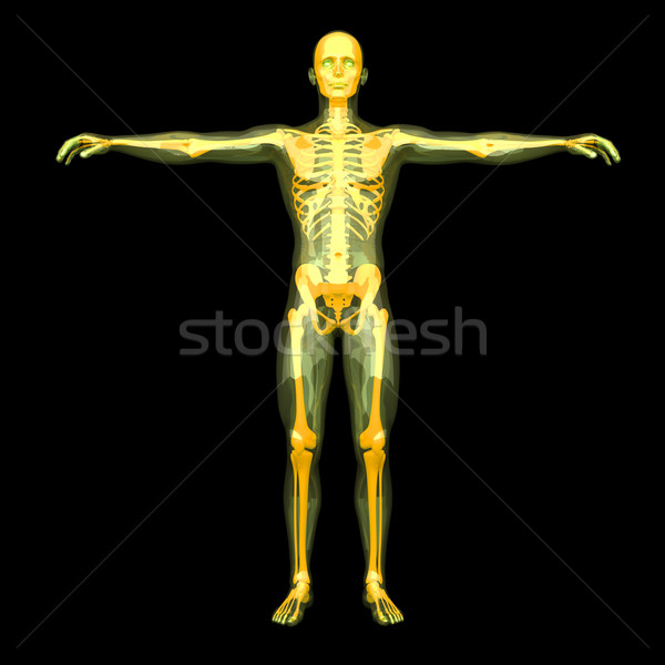 Energy body	 Stock photo © Spectral