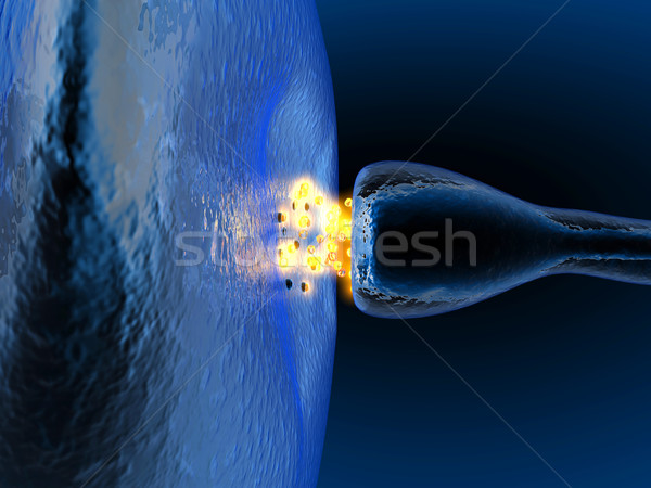 Szinapszis 3D renderelt illusztráció egészség agy Stock fotó © Spectral