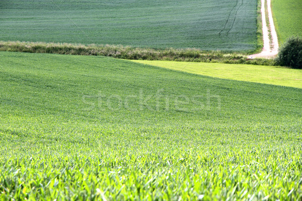 German Landscape	 Stock photo © Spectral