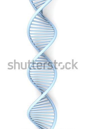 Dna symbolisch model 3D gerenderd illustratie Stockfoto © Spectral