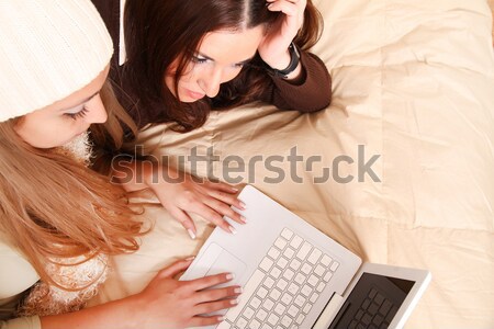 Friends planning winter Holidays online Stock photo © Spectral