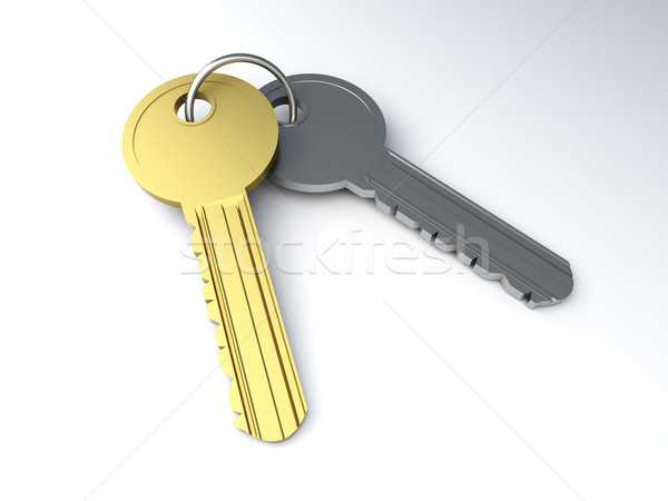 Pair of Keys Stock photo © Spectral