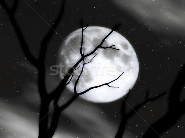 Moon Scenery Stock photo © Spectral