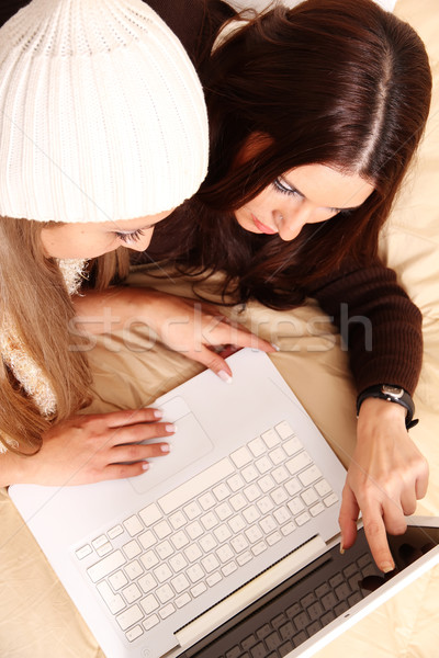 Prietenii planificare iarnă concediu on-line doua Imagine de stoc © Spectral