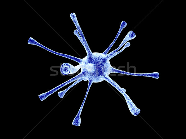 Neuronal Cell			 Stock photo © Spectral