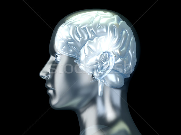 Cerebro humano 3D prestados anatómico ilustración medicina Foto stock © Spectral