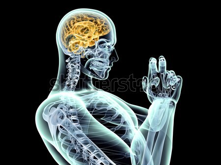 Creierul uman 3D prestate ilustrare izolat negru Imagine de stoc © Spectral