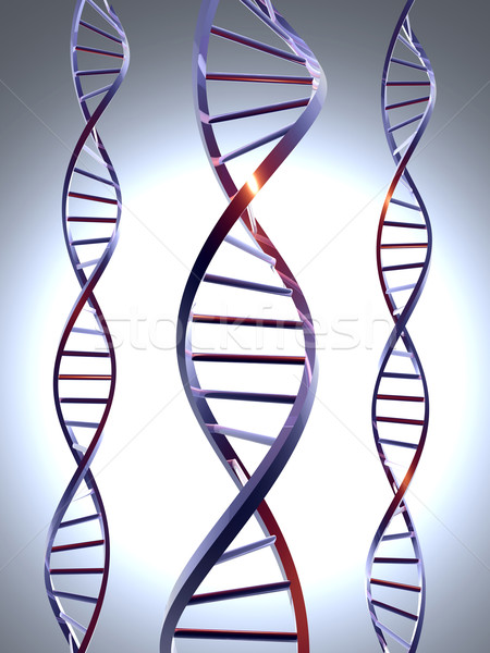 Metall dna 3D gerendert Double Helix Stock foto © Spectral