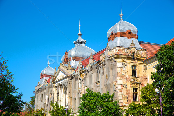 Architettura storica Romania Europa costruzione estate blu Foto d'archivio © Spectral