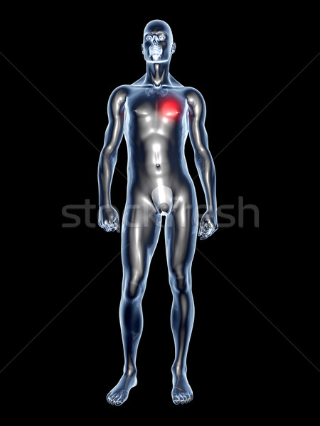 Heart Ache - Anatomy  Stock photo © Spectral