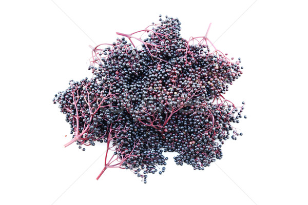 Elder Berries	 Stock photo © Spectral