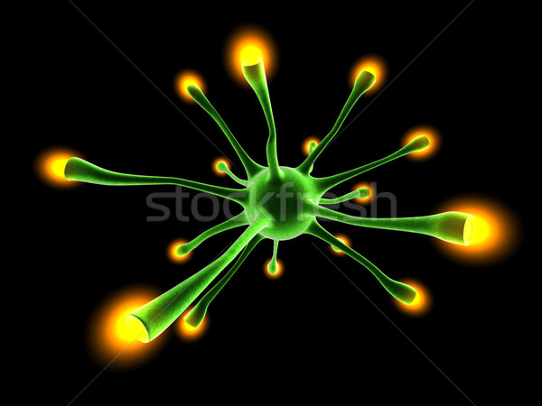 Neuronal Cell Stock photo © Spectral