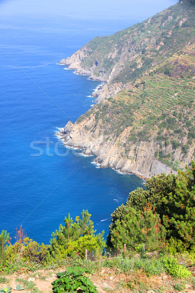 View on the coast of Cinque Terre Stock photo © Spectral