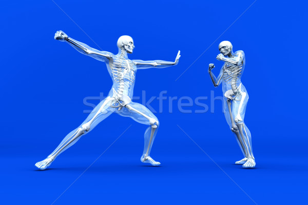 Stockfoto: Anatomie · vechtsporten · medische · 3D · gerenderd