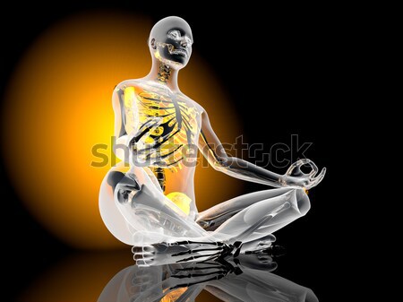 Yoga méditation posent 3d illustration sport fitness [[stock_photo]] © Spectral