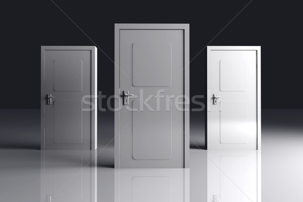 Doors Stock photo © Spectral