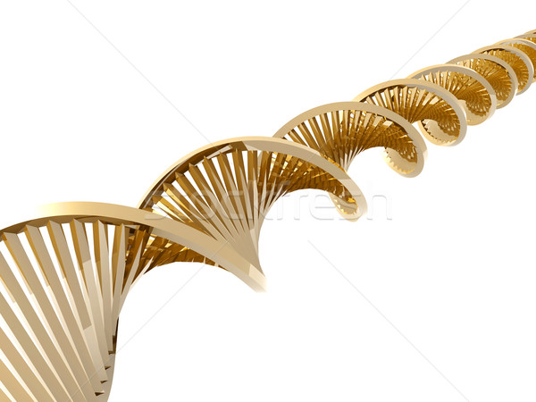 Golden DNA
 Stock photo © Spectral
