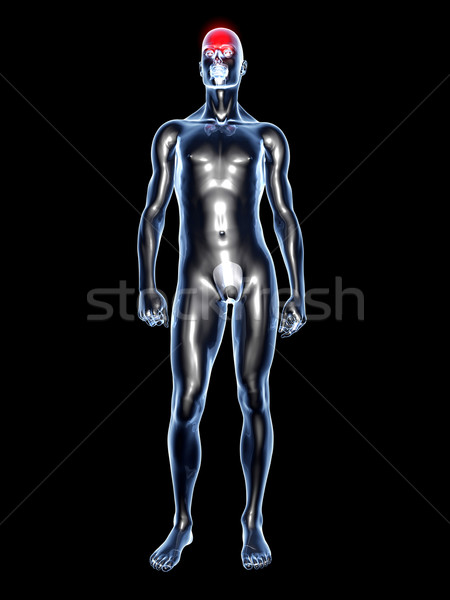 Foto stock: Dor · de · cabeça · anatomia · médico · ilustração · 3D · prestados