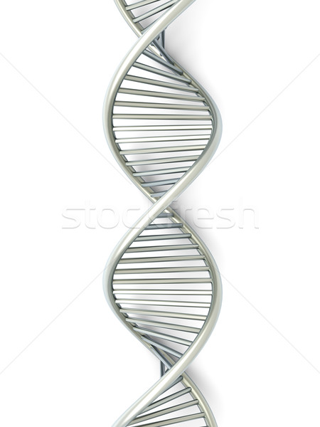 DNA Strand	 Stock photo © Spectral