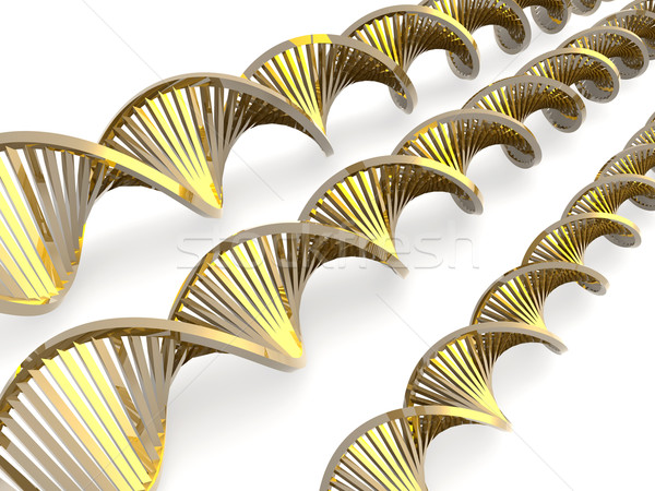 Golden DNA Stock photo © Spectral