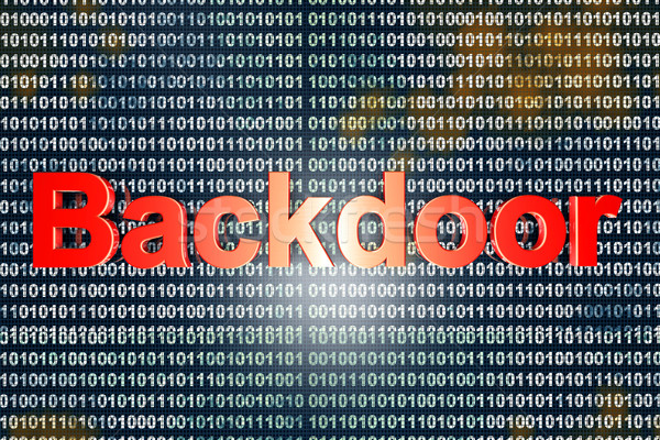 Backdoor Stock photo © Spectral