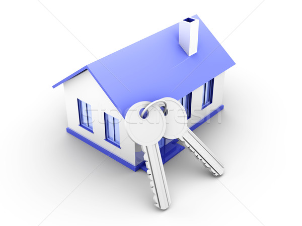 Haus Schlüssel Paar 3D gerendert Illustration Stock foto © Spectral