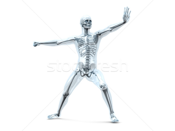 Anatomia artes marciais médico anatomia humana 3D prestados Foto stock © Spectral