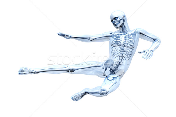 Stock fotó: Anatómia · küzdősportok · orvosi · emberi · anatómia · 3D · renderelt