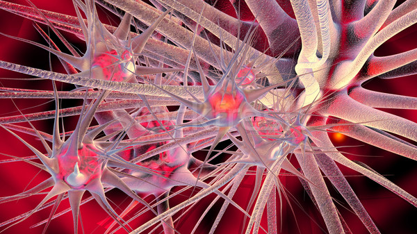 Hálózat 3d illusztráció agy energia mikroszkóp sejt Stock fotó © Spectral