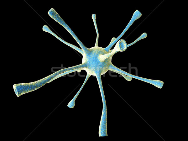 Neuronal Cell Stock photo © Spectral