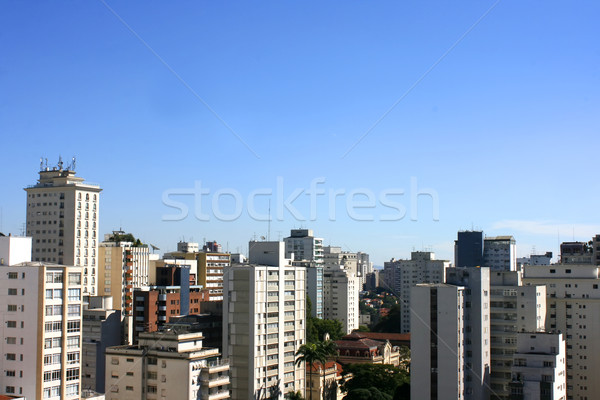 Linha do horizonte São Paulo Brasil cidade azul viajar Foto stock © Spectral