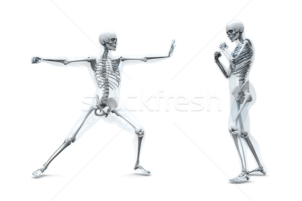 Anatomy -  Martial Arts	 Stock photo © Spectral