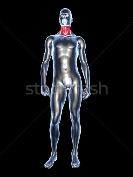 Garganta inflamada anatomia médico ilustração 3D prestados Foto stock © Spectral