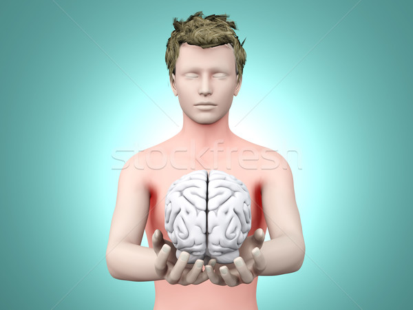 Mente cerebro 3D prestados ilustración Foto stock © Spectral