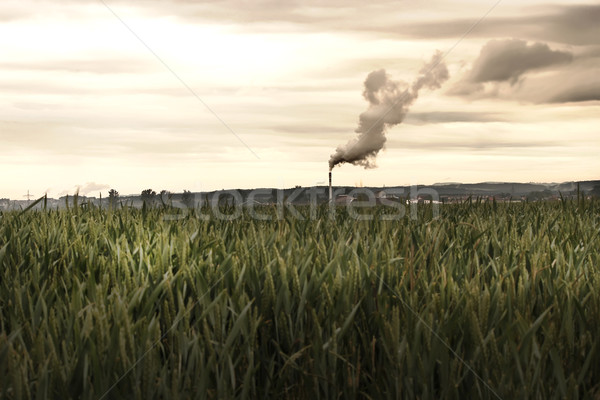 Environmental pollution Stock photo © Spectral