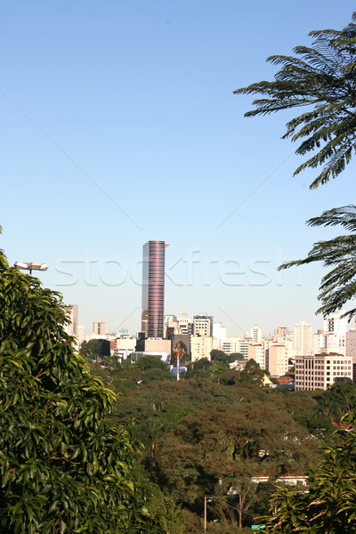 View over Sao Paulo  Stock photo © Spectral
