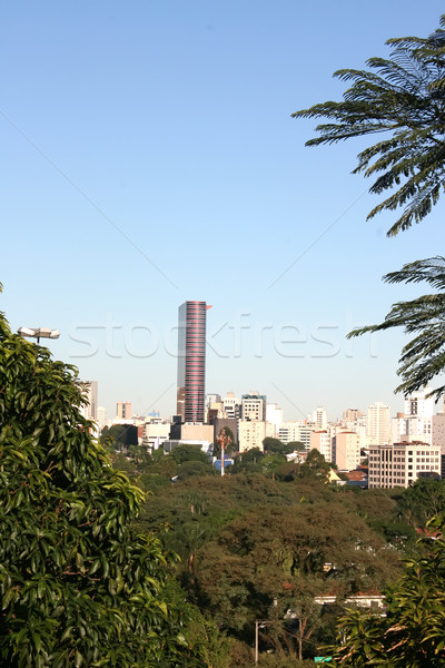 Ansicht Sao Paulo Skyline Brasilien Stadt grünen Stock foto © Spectral