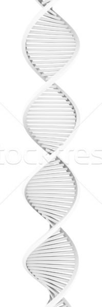 Metal DNA Stock photo © Spectral