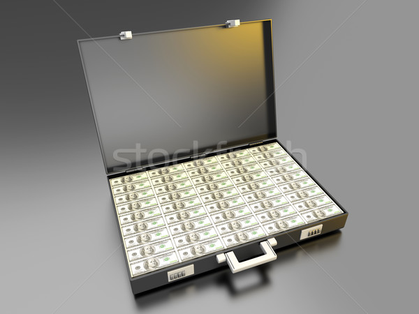 Pénz aktatáska tele üzlet bank bőrönd Stock fotó © Spectral
