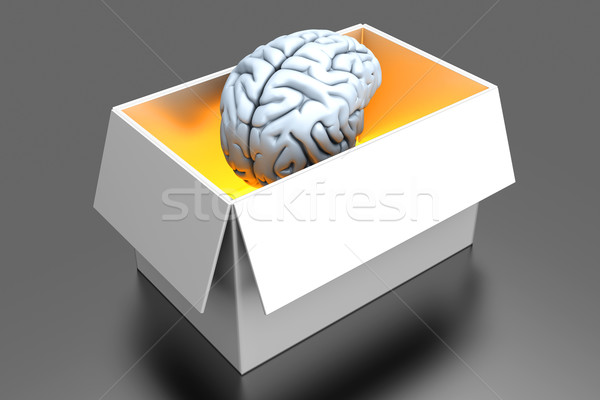 Cerebro cuadro fuera 3D prestados ilustración Foto stock © Spectral