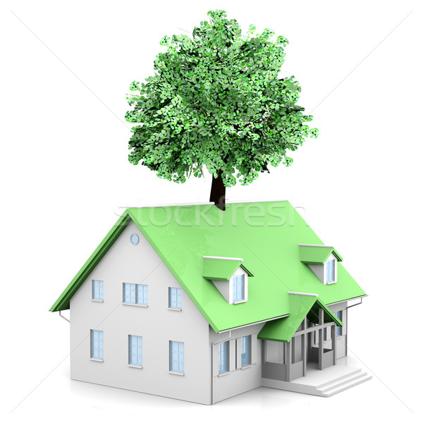 Green House Stock photo © Spectral